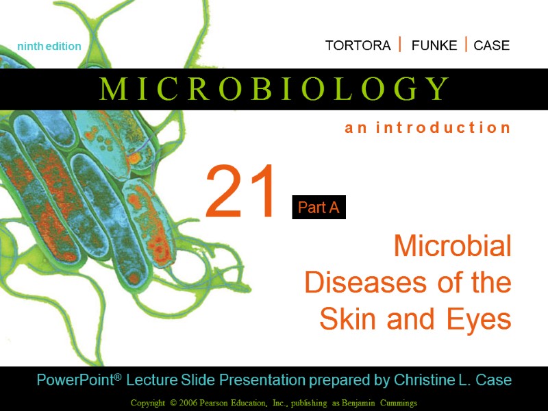 21 Microbial Diseases of the Skin and Eyes